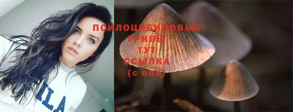 мдма Богданович