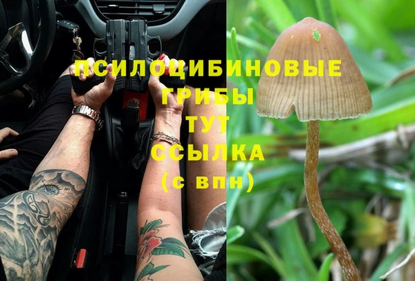 мдма Богданович